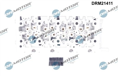 Dr.Motor Automotive DRM21411 EAN: 5904639640307.