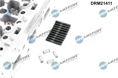 Dr.Motor Automotive DRM21411 EAN: 5904639640307.