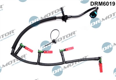 Dr.Motor Automotive DRM6019 EAN: 5902425077535.