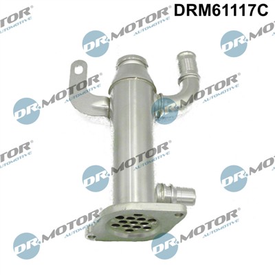 Dr.Motor Automotive DRM61117C EAN: 5904639603951.