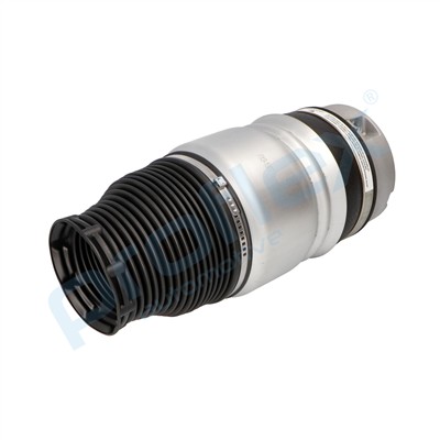 PROFLEX AUTOMOTIVE PX9-1007 EAN: 5906125606057.