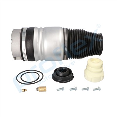 PROFLEX AUTOMOTIVE PX9-1008 EAN: 5906125606064.