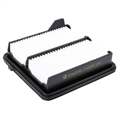 Castrol Filters CA0245