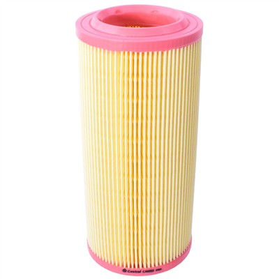 Castrol Filters CA0262