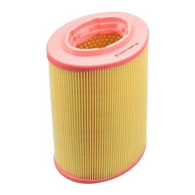 Castrol Filters CA0267