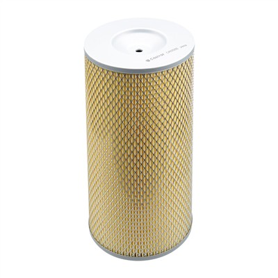 Castrol Filters CA0555