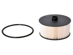 Castrol Filters CF0428