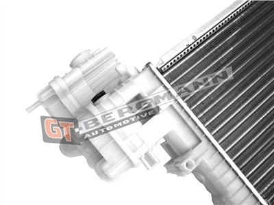 GT BERGMANN GT10-173 EAN: 5907764516455.