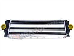 GT BERGMANN GT12-004