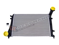 GT BERGMANN GT12-008