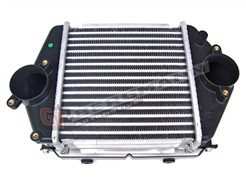 GT BERGMANN GT12-019