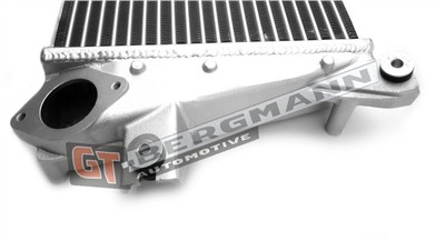 GT BERGMANN GT12-022 EAN: 5907764515373.