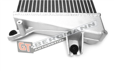 GT BERGMANN GT12-022 EAN: 5907764515373.