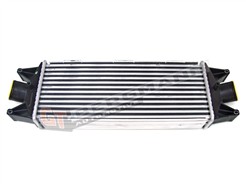 GT BERGMANN GT12-036