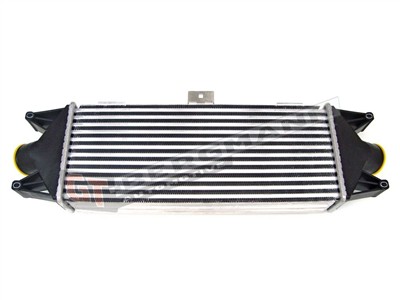 GT BERGMANN GT12-036