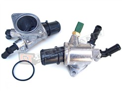 GT BERGMANN GT17-011