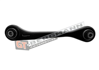 GT BERGMANN GT20-234