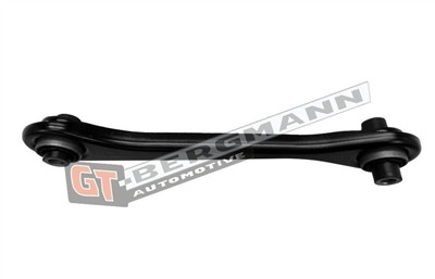 GT BERGMANN GT20-234