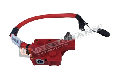 GT BERGMANN GT40-013 EAN: 5907764526171.