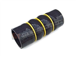 GT BERGMANN GT52-019