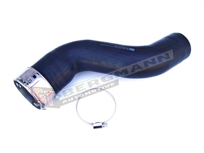 GT BERGMANN GT52-042 EAN: 5907764500720.