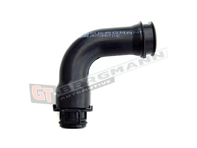 GT BERGMANN GT52-100 EAN: 5907764510408.