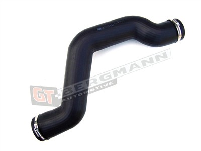 GT BERGMANN GT52-117 EAN: 5907764512143.