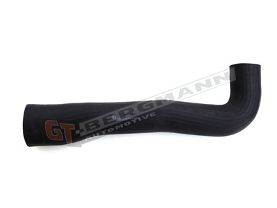 GT BERGMANN GT52-118 EAN: 5907764512259.