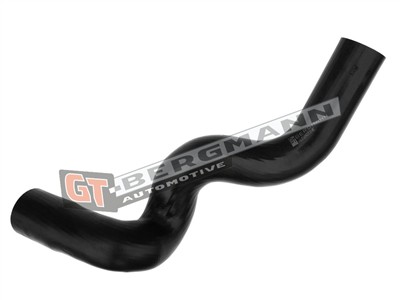 GT BERGMANN GT52-120 EAN: 5907764513379.