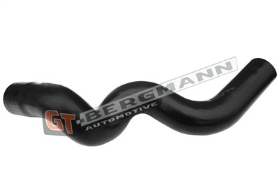 GT BERGMANN GT52-120 EAN: 5907764513379.