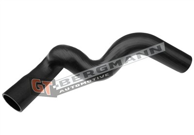 GT BERGMANN GT52-120 EAN: 5907764513379.
