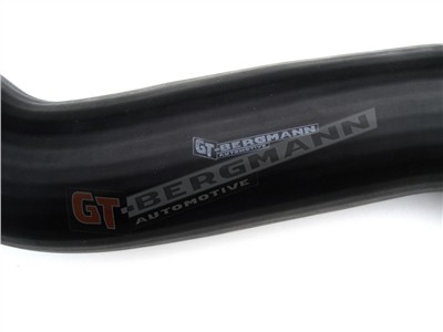 GT BERGMANN GT52-136 EAN: 5907764513768.