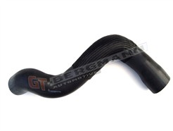 GT BERGMANN GT52-146