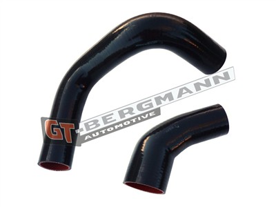 GT BERGMANN GT52-147 EAN: 5907764513898.