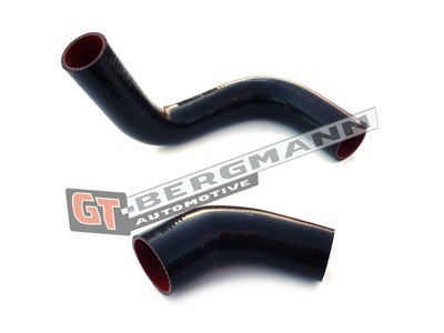 GT BERGMANN GT52-147 EAN: 5907764513898.
