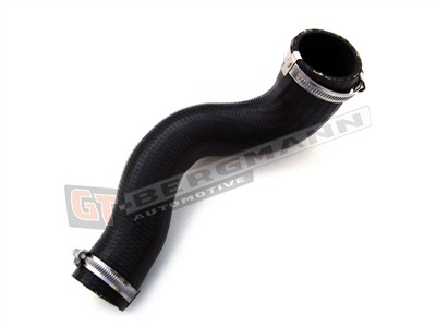 GT BERGMANN GT52-155 EAN: 5907764513966.