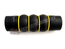 GT BERGMANN GT52-173