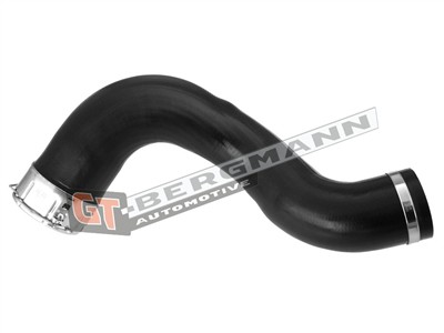 GT BERGMANN GT52-176 EAN: 5907764515069.