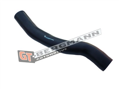 GT BERGMANN GT52-178 EAN: 5907764515113.