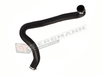 GT BERGMANN GT52-188 EAN: 5907764515236.