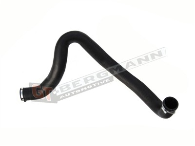GT BERGMANN GT52-188 EAN: 5907764515236.