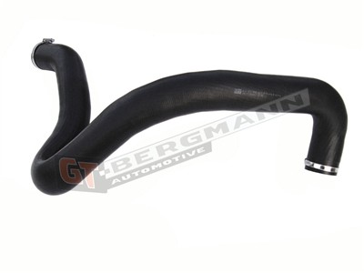GT BERGMANN GT52-188 EAN: 5907764515236.