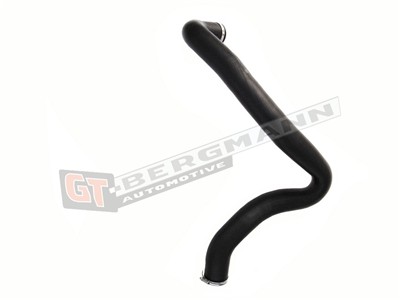GT BERGMANN GT52-188 EAN: 5907764515236.