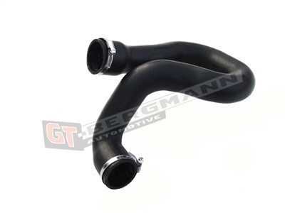 GT BERGMANN GT52-189 EAN: 5907764515243.