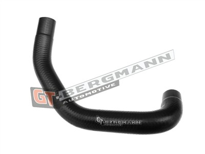 GT BERGMANN GT52-202 EAN: 5907764515717.