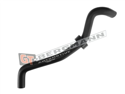 GT BERGMANN GT52-203 EAN: 5907764515724.