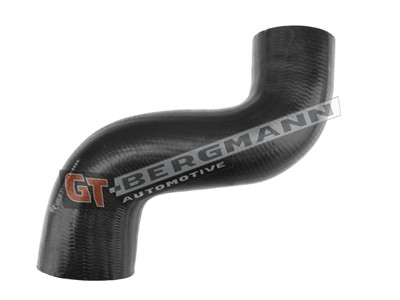 GT BERGMANN GT52-206 EAN: 5907764515755.