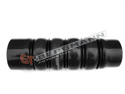GT BERGMANN GT52-211