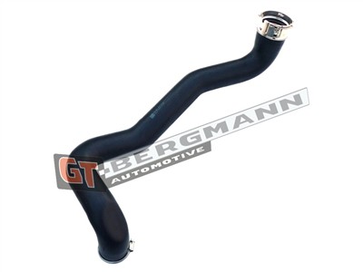 GT BERGMANN GT52-222 EAN: 5907764516196.