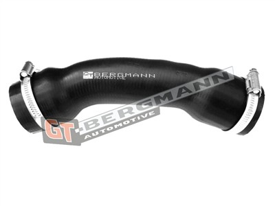 GT BERGMANN GT52-231 EAN: 5907764516967.